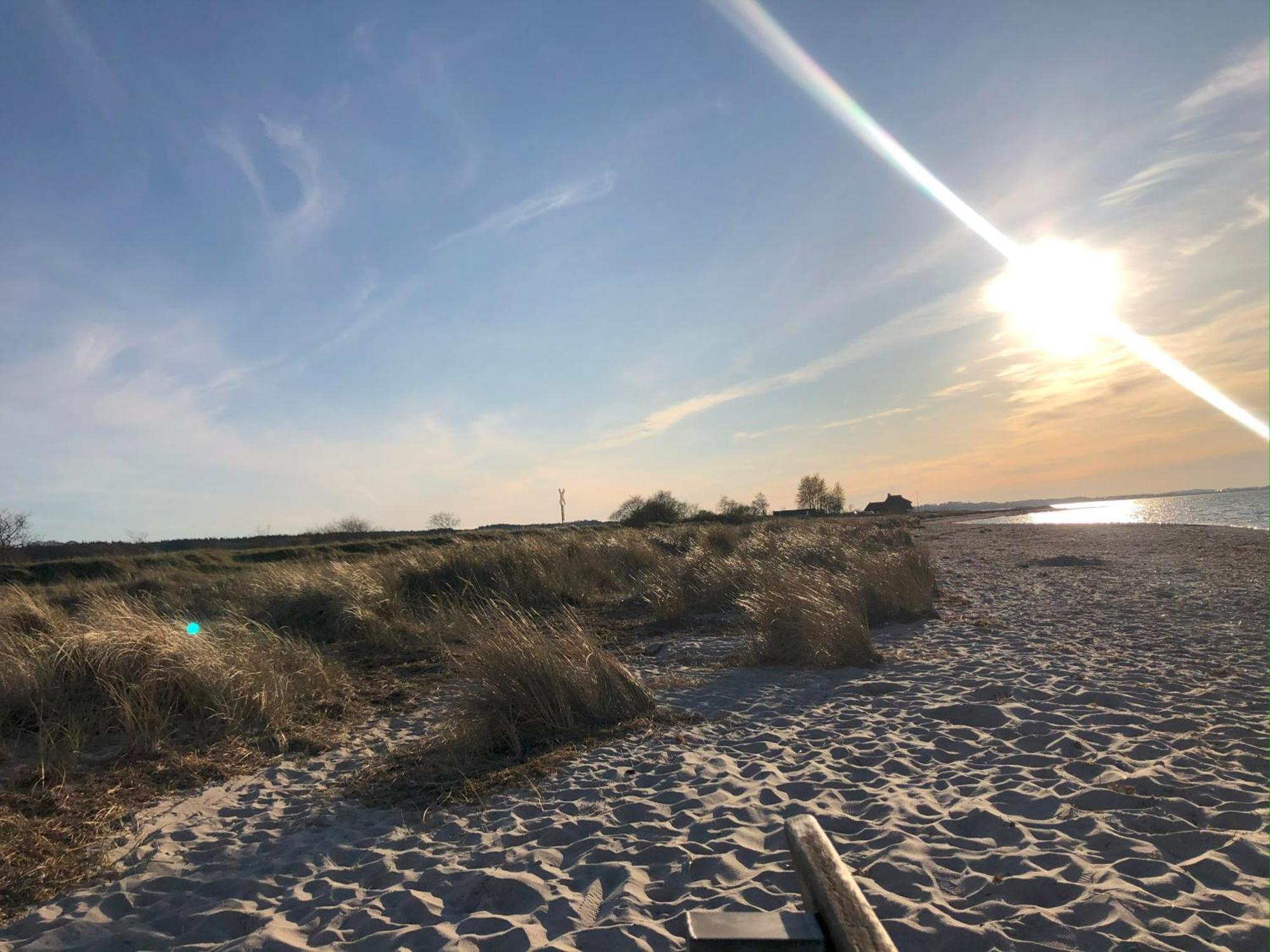 Neues Ferienhaus An Der Ostsee+Terrasse+Sauna Surendorf 外观 照片